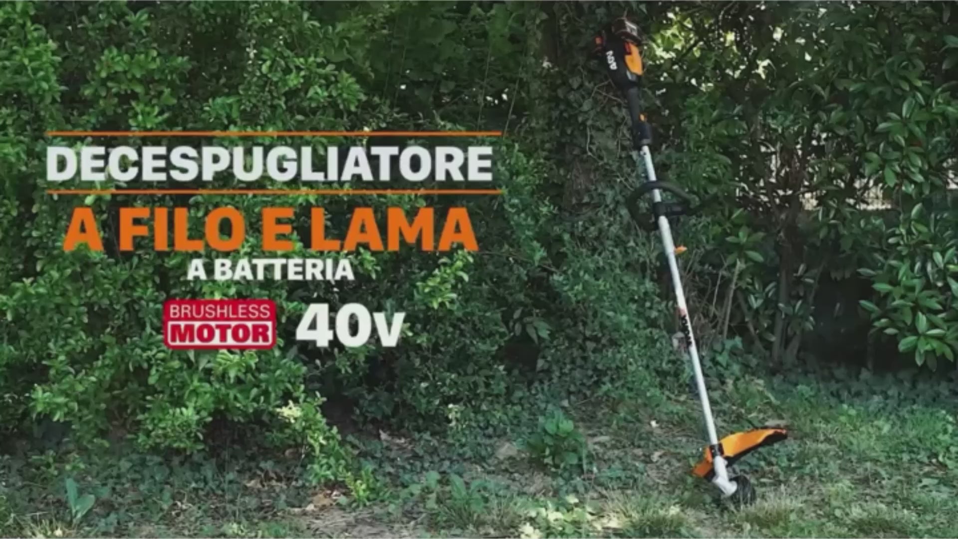 Carica il video: 